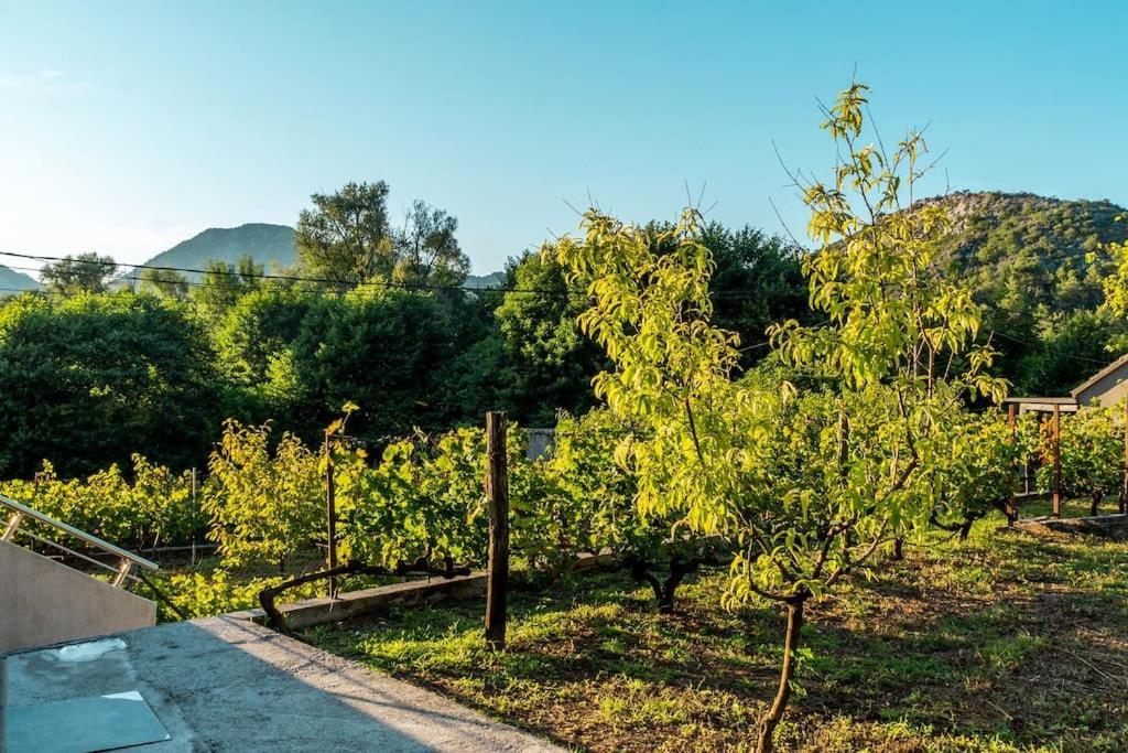 Pavle'S Oasis Villa Virpazar Dış mekan fotoğraf